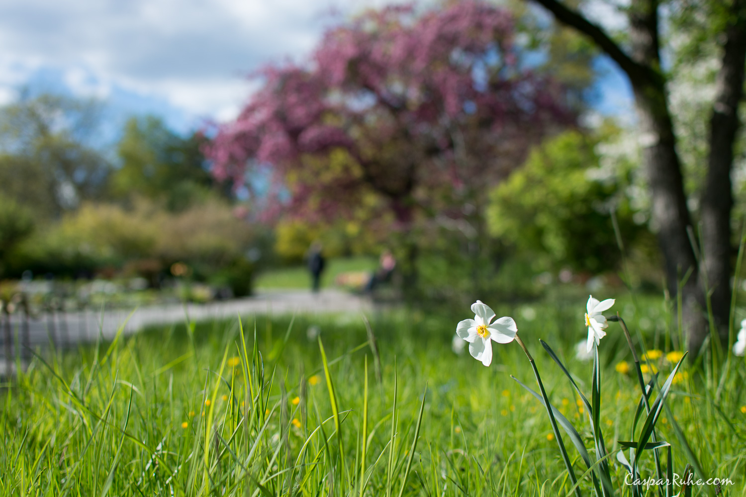 Springtime